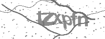 visual captcha